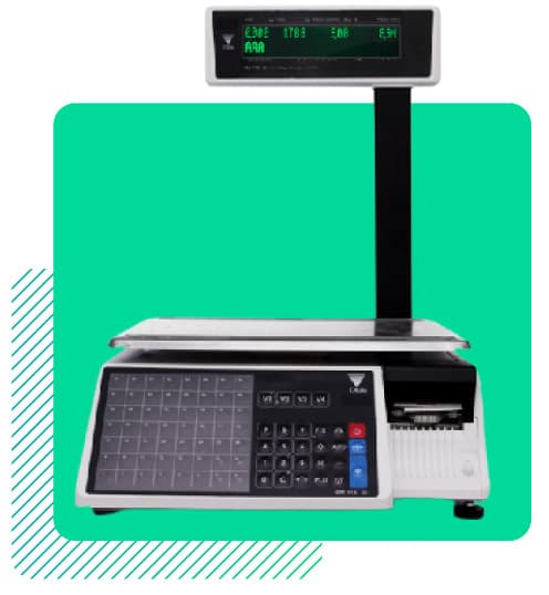 Balanza DIGI SM-110 P